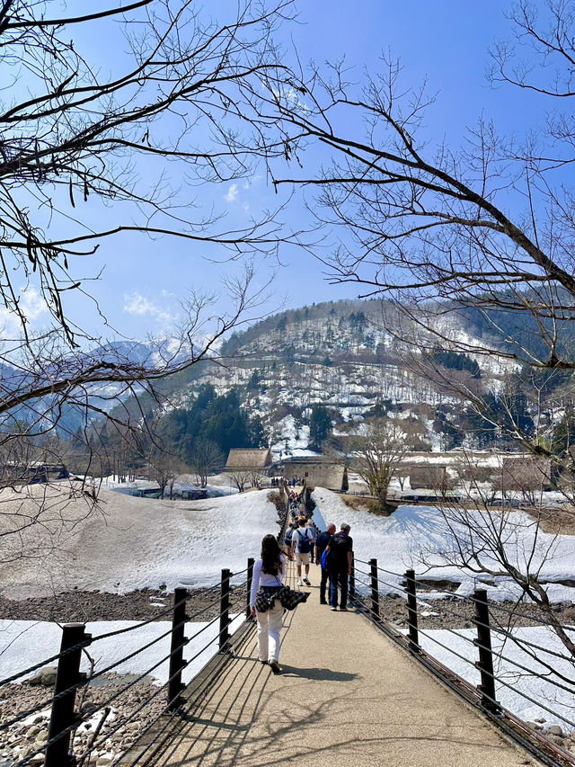 🇯🇵 白川鄉 不是只有小屋 還有壯麗的河川和山🏞️🏔️
