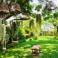 🌳 เเพียงธารา คาเฟ่ แอนด์ รีสอร์ท