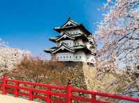 Hirosaki Castle Cherry Blossoms: Japan’s Most Magical Sakura Fairytale
