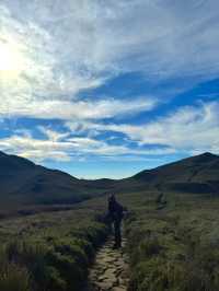 From Forest Trails to Cloudy Peaks: Mt. Pulag Magic