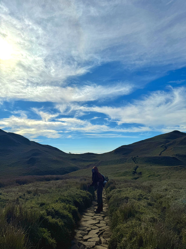 From Forest Trails to Cloudy Peaks: Mt. Pulag Magic