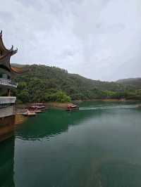 🌿 肇慶鼎湖山：綠色逃亡秘境！🌄