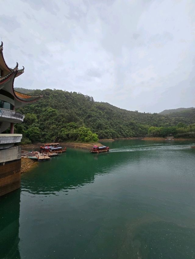 🌿 肇慶鼎湖山：綠色逃亡秘境！🌄