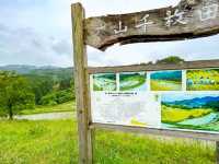 【千葉】東京から1番近い絶景棚田「大山千枚田」