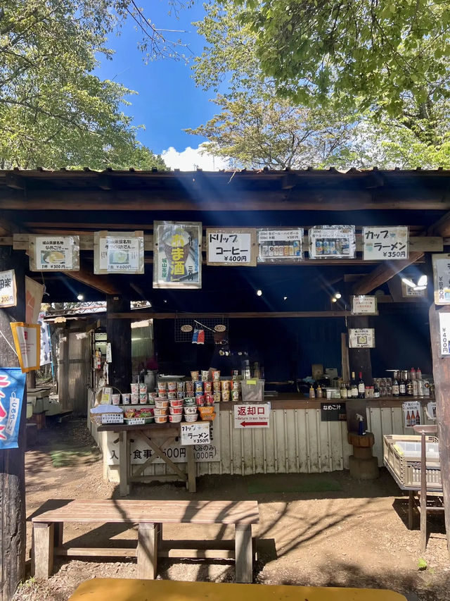 【高尾山】都心から電車で行ける高尾山⛰️