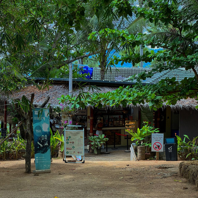 คาเฟ่ ภูเก็ต