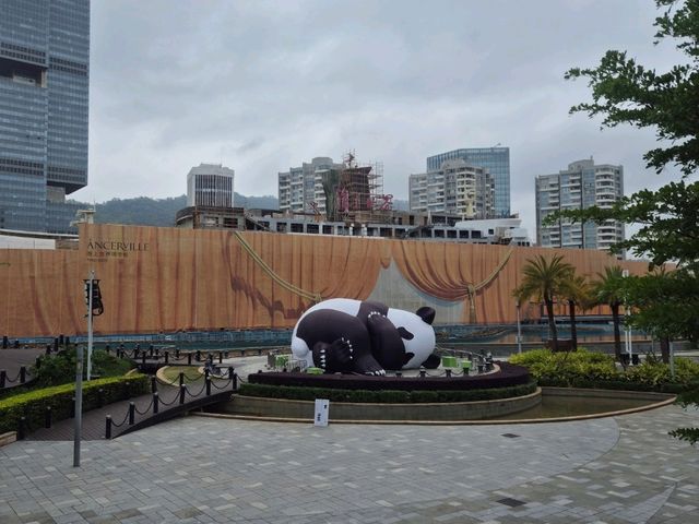 Shenzhen Trip