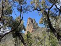 Warrumbungle National Park 등산