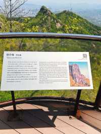 날씨가 좋은 날에 가기 좋은 등산코스🌳
