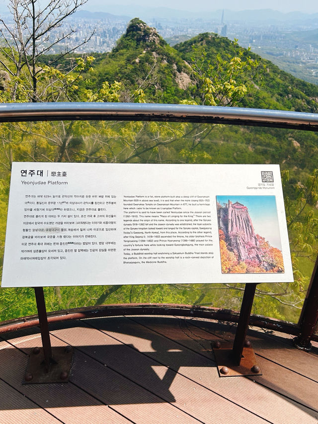 날씨가 좋은 날에 가기 좋은 등산코스🌳