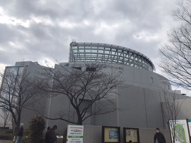 世界淡水魚水族館アクア•トト　ぎふ　これを見て！