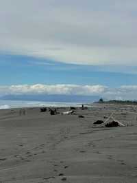 🇳🇿鈕西蘭 西海岸 Hokitika：海邊、森林、樹頂、藍河