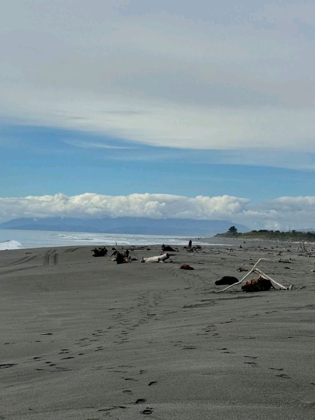 🇳🇿鈕西蘭 西海岸 Hokitika：海邊、森林、樹頂、藍河