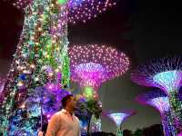 Gardens by the Bay: A Futuristic Oasis in the Heart of Singapore
