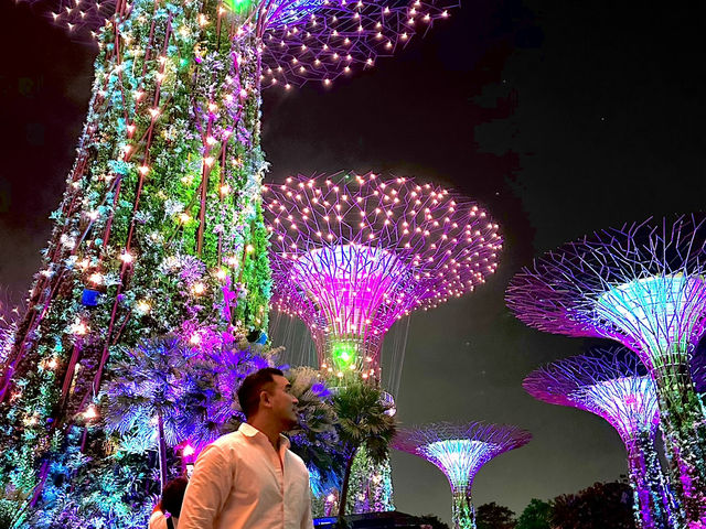 Gardens by the Bay: A Futuristic Oasis in the Heart of Singapore