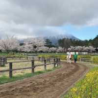 A Spring Day at Koiwai Farm