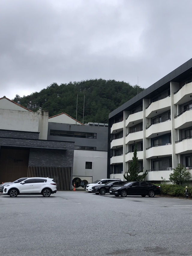 몸과 마음이 녹아내리는 하루 🌿 울진 덕구온천에서의 조용한 온천 힐링 여행
