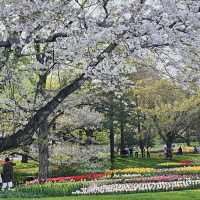Nature’s Paradise at Showa Kinen Park