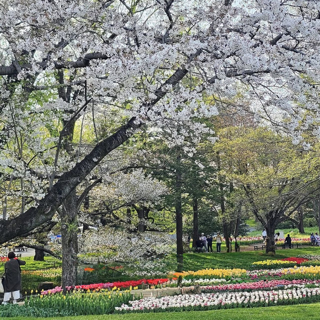Nature’s Paradise at Showa Kinen Park