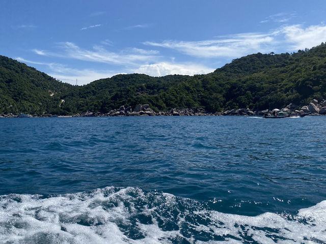 🏝️ เกาะนางยวน จังหวัดสุราษฎร์ธานี