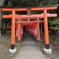 Hidden Torii: Nagayama Inari Shrine
