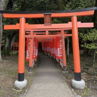 Hidden Torii: Nagayama Inari Shrine