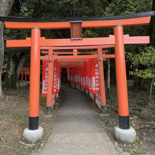 Hidden Torii: Nagayama Inari Shrine