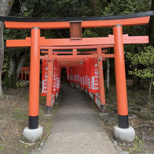 Hidden Torii: Nagayama Inari Shrine