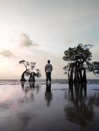 Dancing Trees and Golden Seas: Walakiri’s Hidden Magic