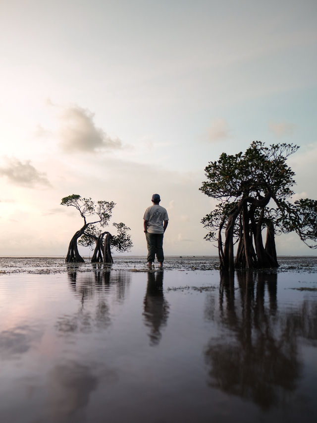 Dancing Trees and Golden Seas: Walakiri’s Hidden Magic