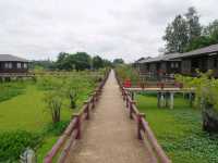 ร้านอาหารครัวริมน้ำ ทะเลน้อย พัทลุง