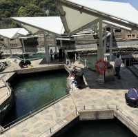 海と水槽が一体化？！温泉地から近い、城崎マリンワールド