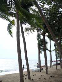 พานั่งปิคนิคริมชายหาดวอนนภา จ.ชลบุรี 🏖️