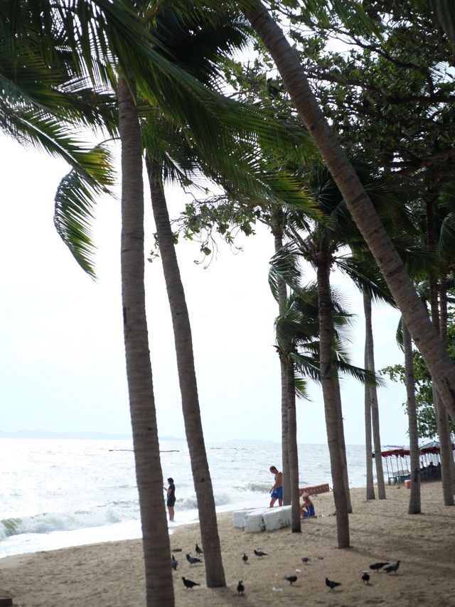 พานั่งปิคนิคริมชายหาดวอนนภา จ.ชลบุรี 🏖️