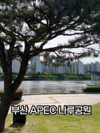부산에서 뛰어놀기 좋은 가족산책코스🍀🌱