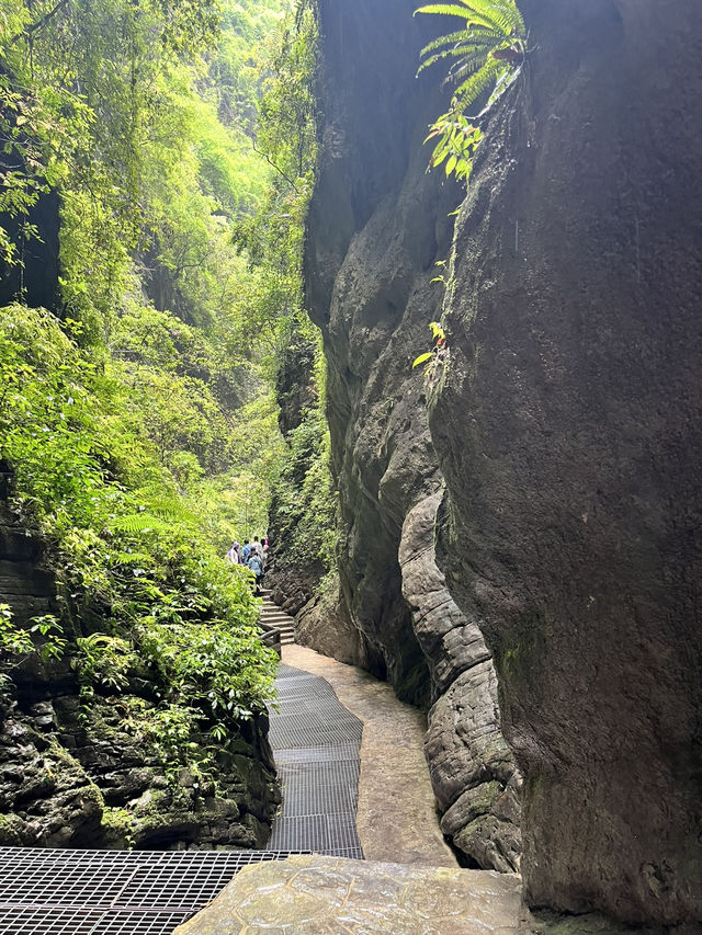 Wulong Karst Landscape – A Cinematic Day in Nature