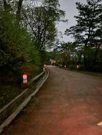 👣💡청덕궁 서울에 가족들과 함께 거닐기 좋은 곳 