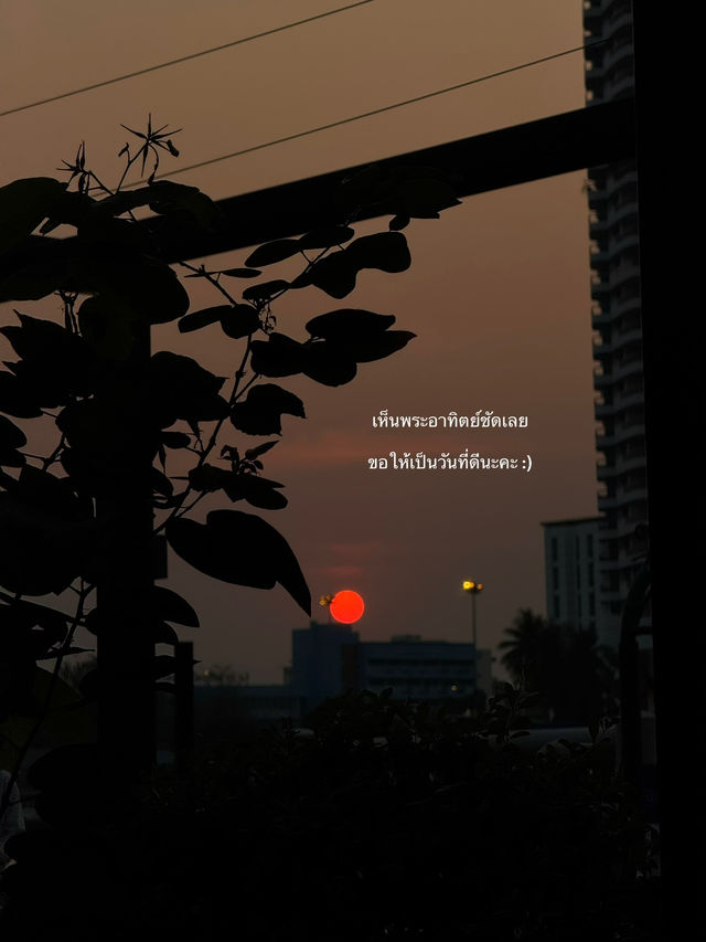 ชวนมานอนพักใจพักสายตาที่สวนป้อมพระสุเมรุ! 