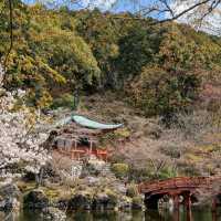 Temple that Big, Chill, and Super Scenic