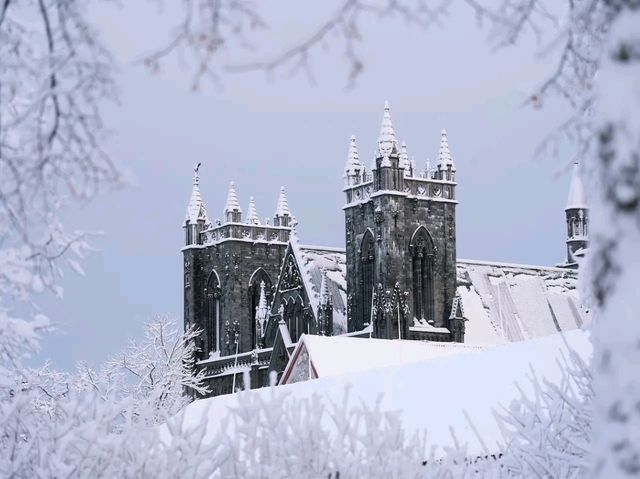 Trondheim – Where History and Innovation Meet in Norway’s Viking Capital