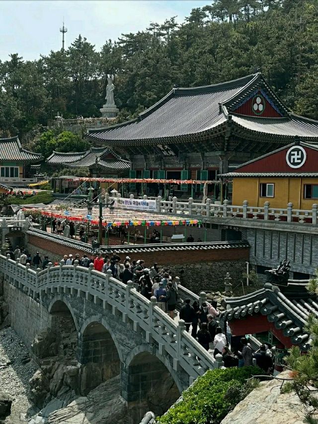 Busan: Ocean Breeze, Mountain Calm, and a Dash of City Pulse