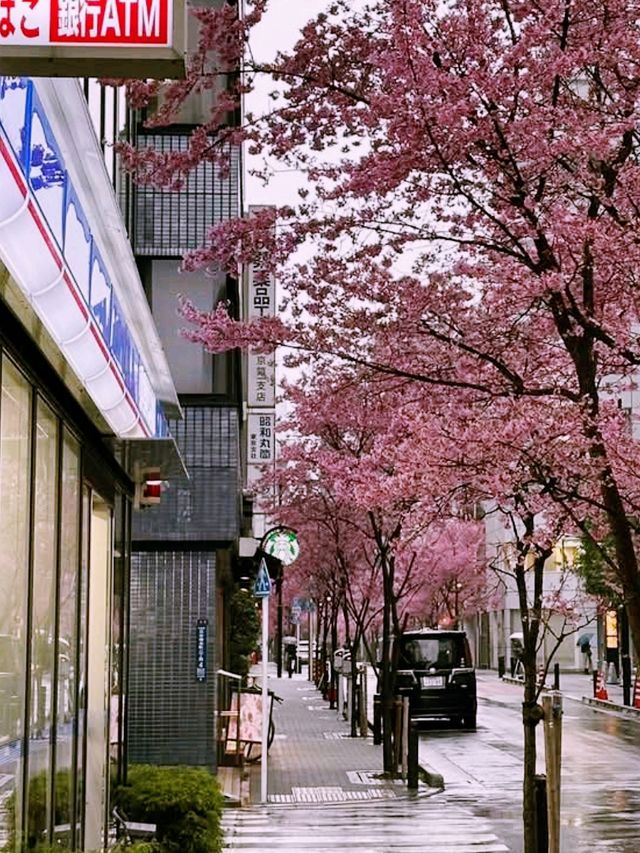 Maruyama Park