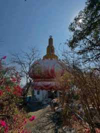 Discover Tranquility at Wat Khao Sanam Chaeng