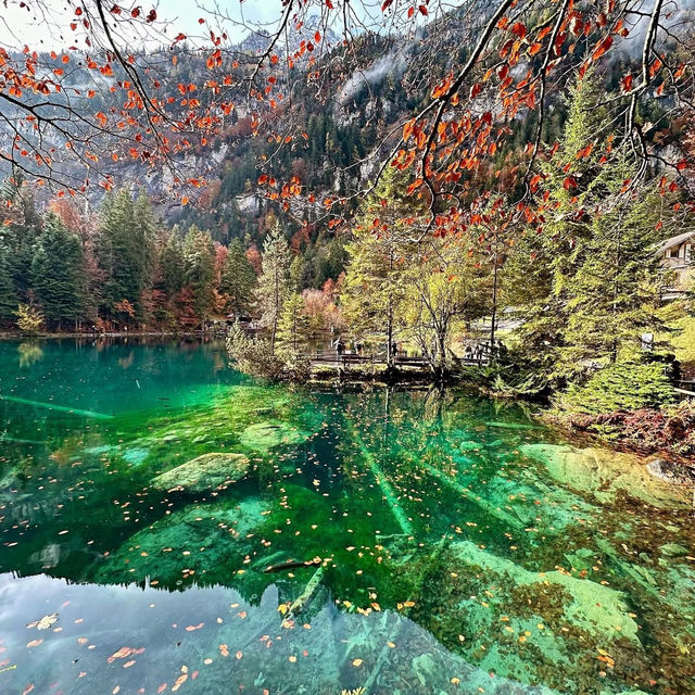 Blausee: Switzerland’s Hidden Blue Jewel in an Emerald Forest