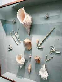 Discover Borneo’s Wildlife at the Kuching Natural History Museum 