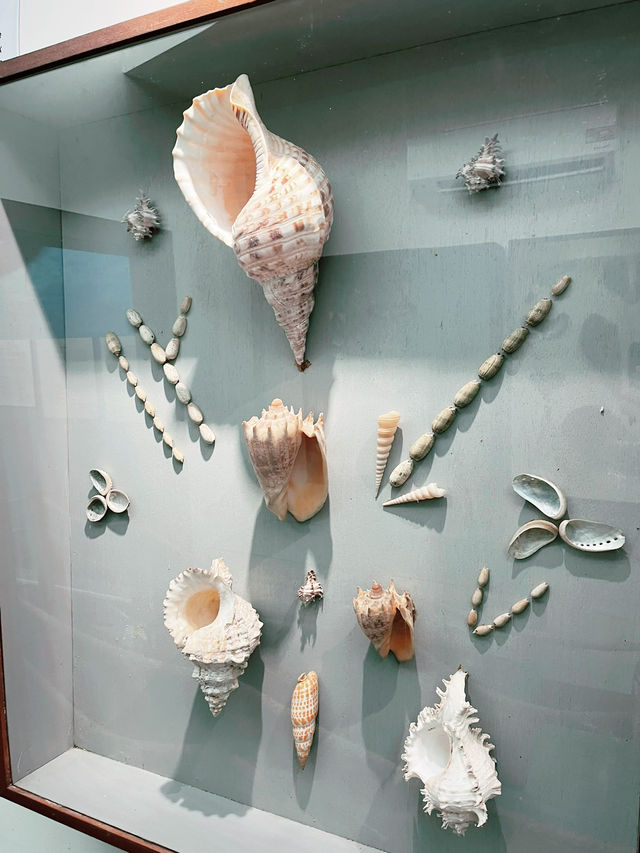 Discover Borneo’s Wildlife at the Kuching Natural History Museum 