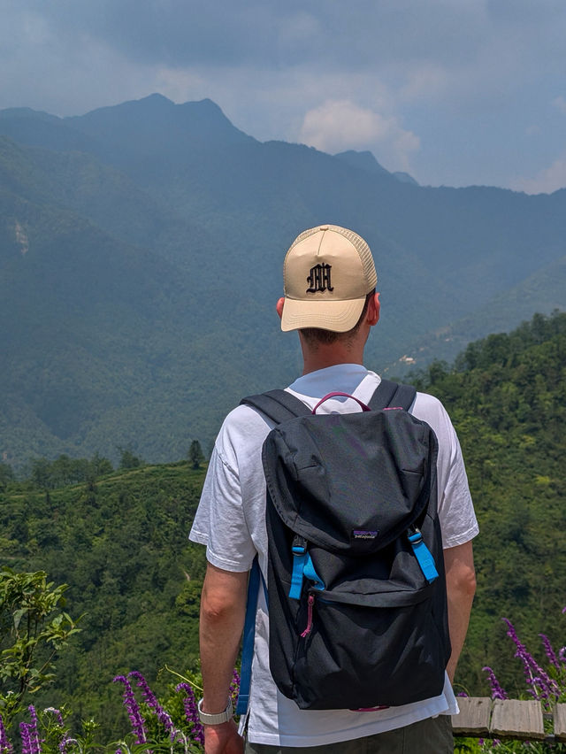 🇻🇳 Sapa: Where the Mountains Breathe and the Clouds Become Your Neighbors ⛰🌾