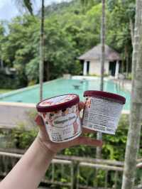 ที่พักเขาใหญ่ กินดีอยู่ดี ฮีลใจสุดสุด 🪨🌾