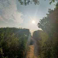龍脊行山徑（Dragon’s Back Trail）