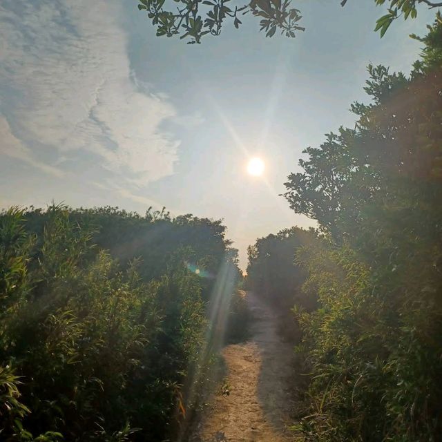 龍脊行山徑（Dragon’s Back Trail）